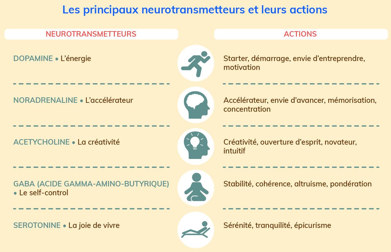 Les Neurotransmetteurs : Les Médiateurs De Nos émotions - Conseils